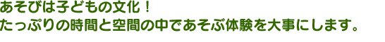 あそびは子どもの文化！たっぷりの時間と空間の中であそぶ体験を大事にします。